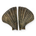 Seashell Door Pull OC2041