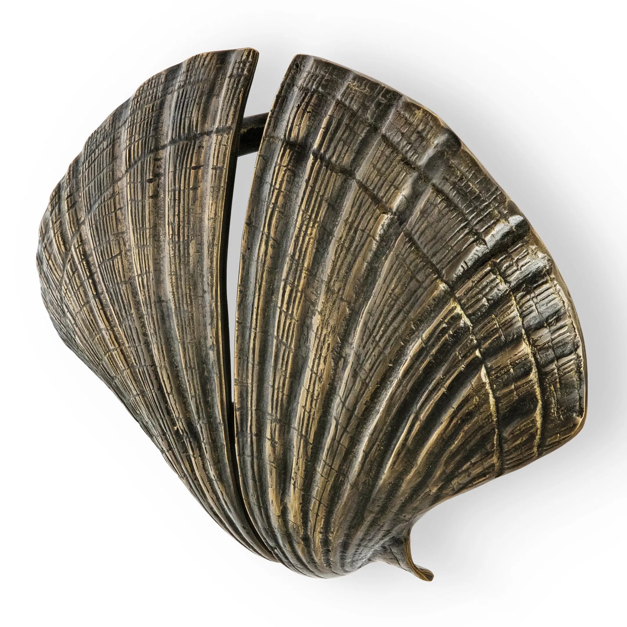 Seashell Door Pull OC2041