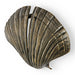 Seashell Door Pull OC2041