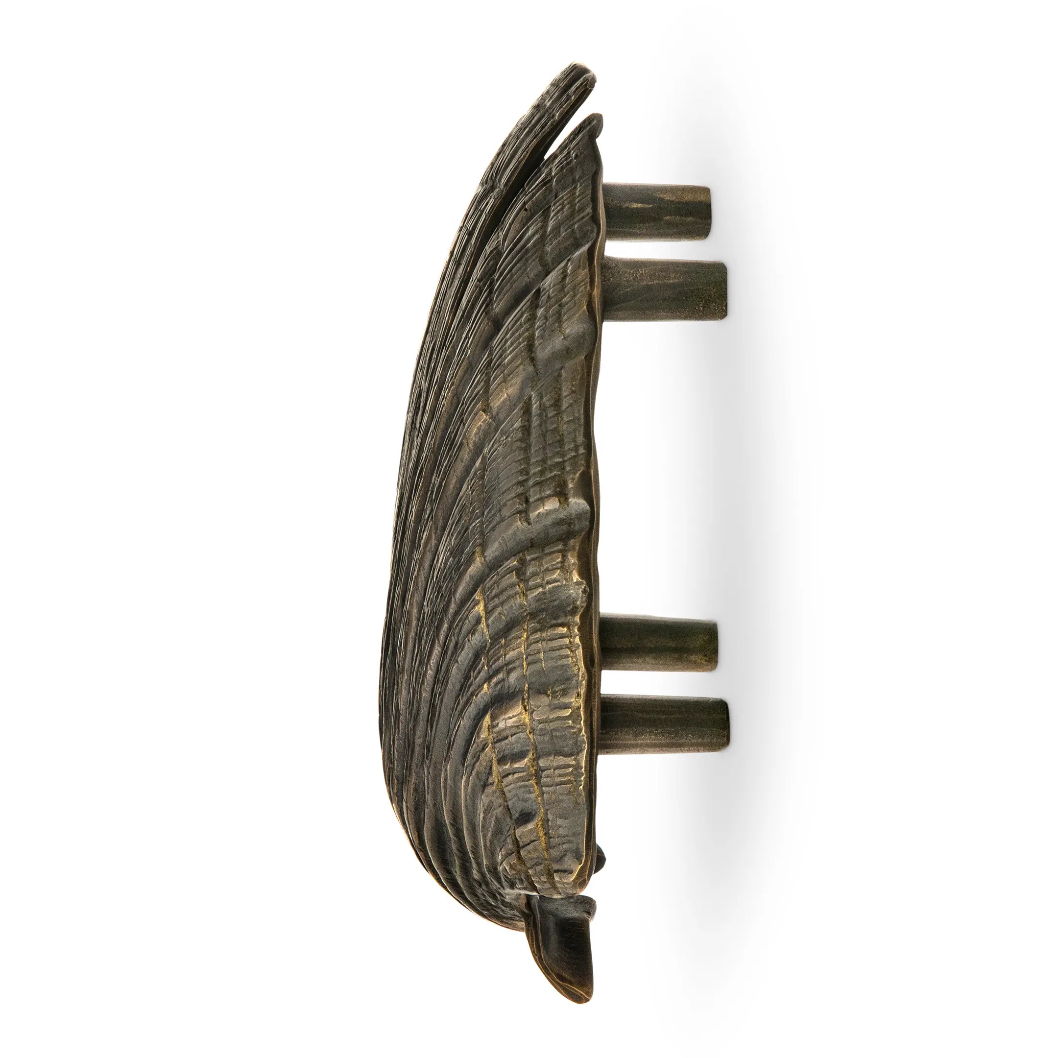 Seashell Door Pull OC2041