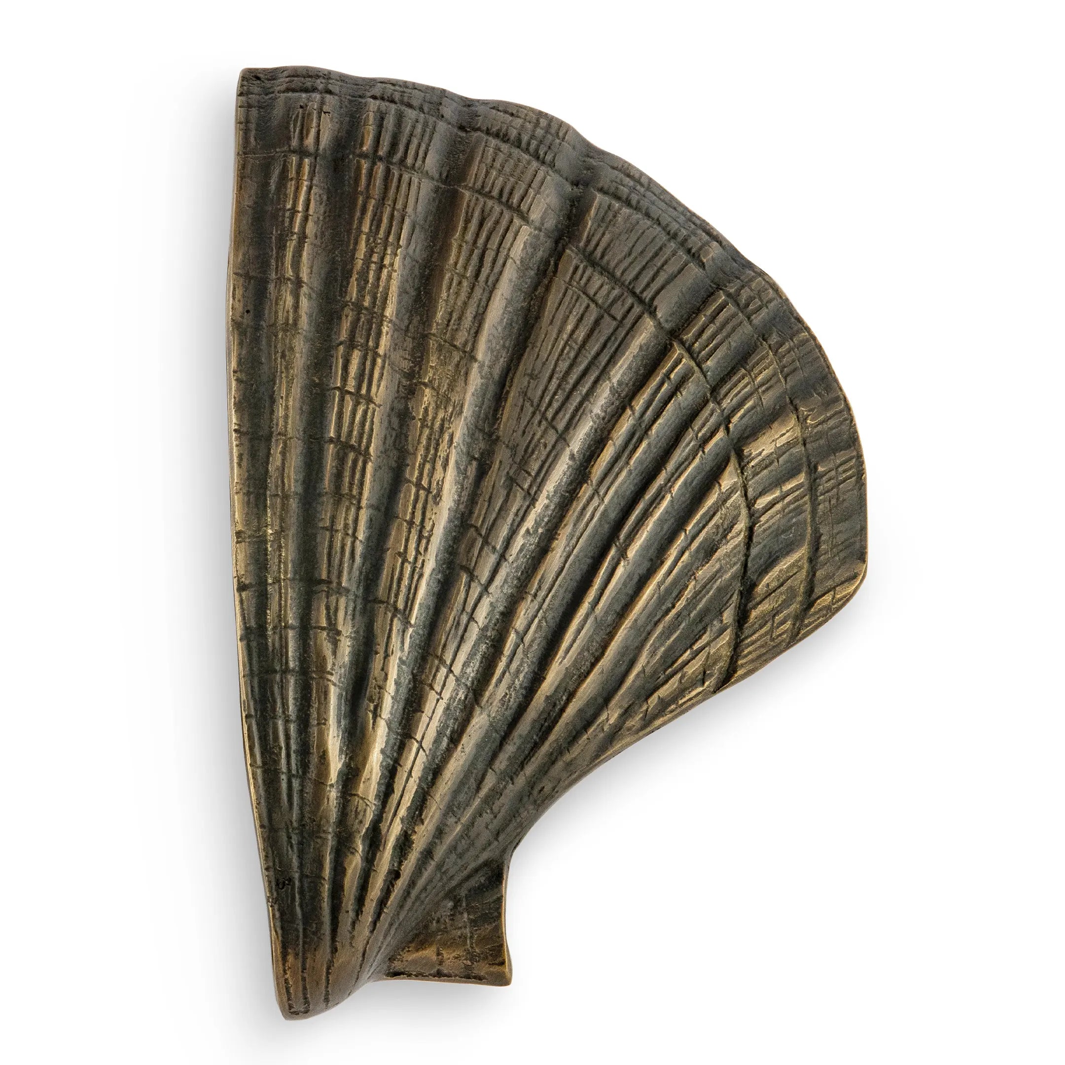 Seashell Door Pull OC2041
