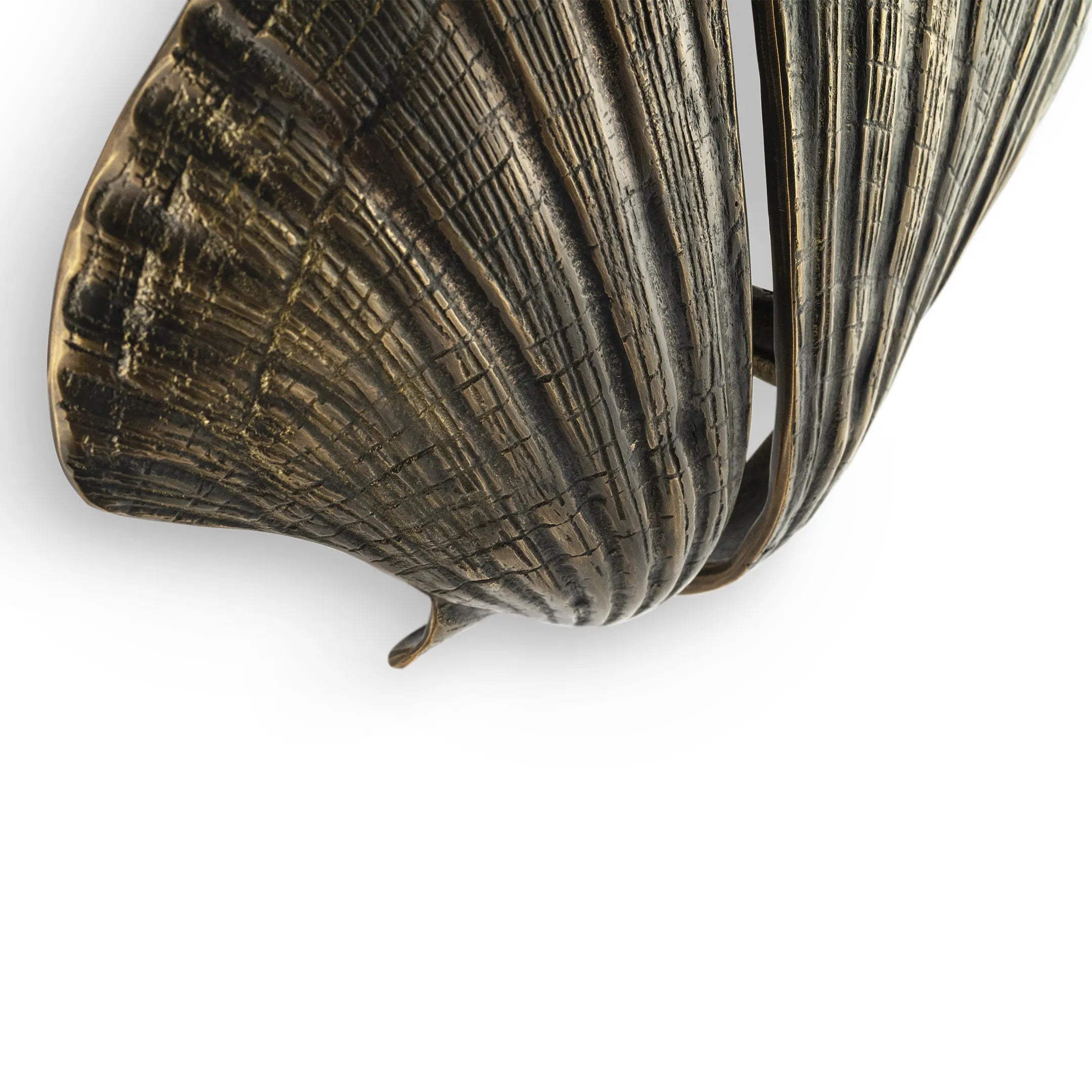 Seashell Door Pull OC2041