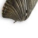 Seashell Door Pull OC2041