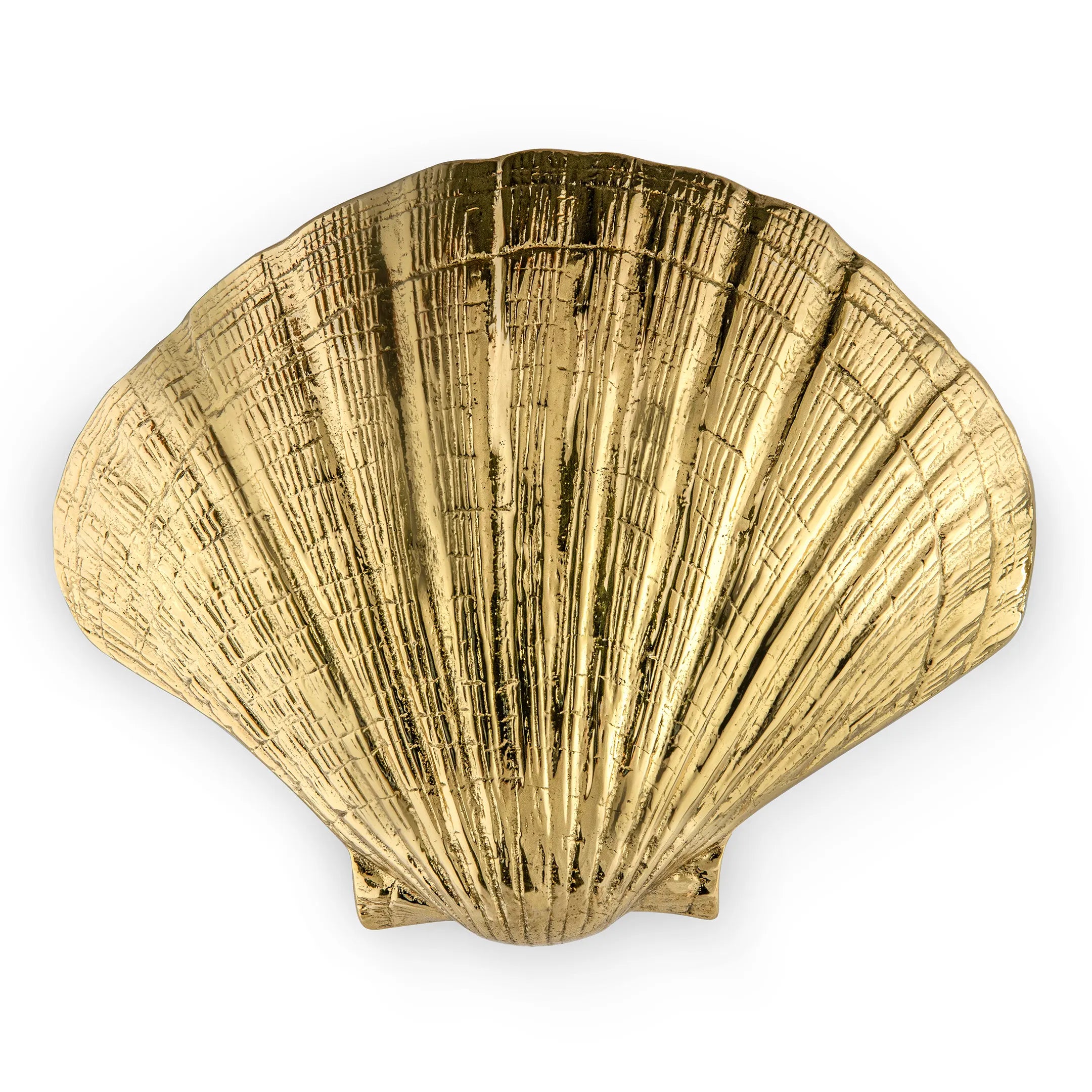 Seashell Door Pull OC2042