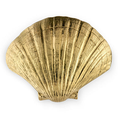 Seashell Door Pull OC2042