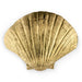 Seashell Door Pull OC2042