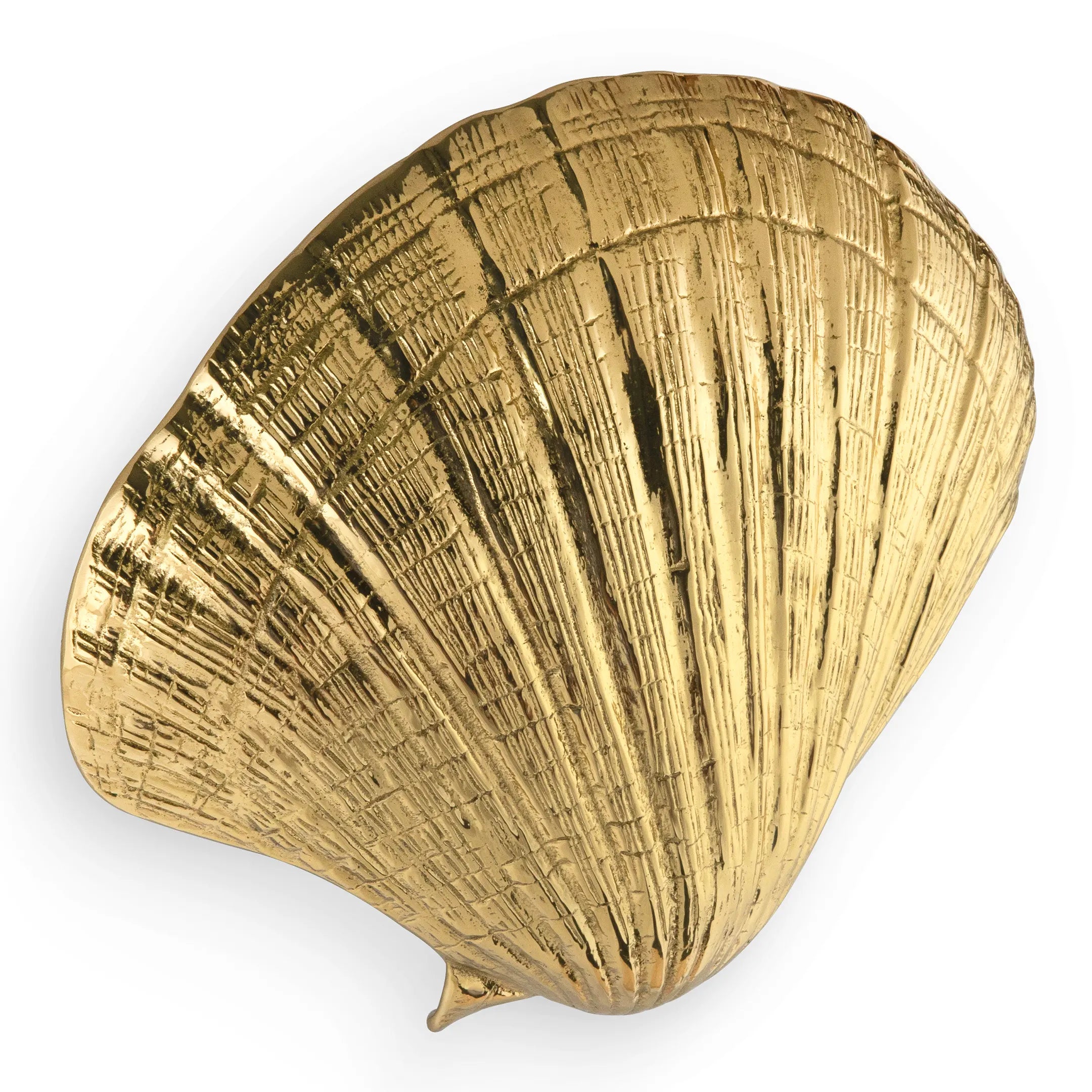 Seashell Door Pull OC2042