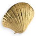 Seashell Door Pull OC2042