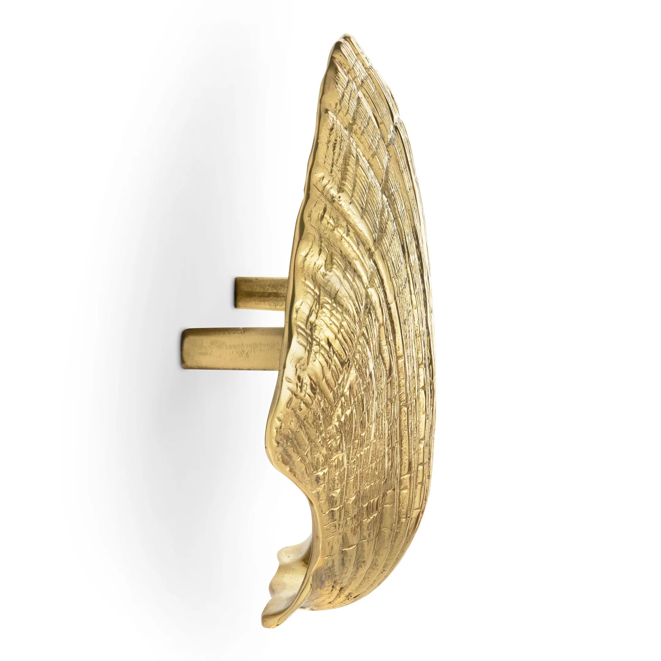 Seashell Door Pull OC2042
