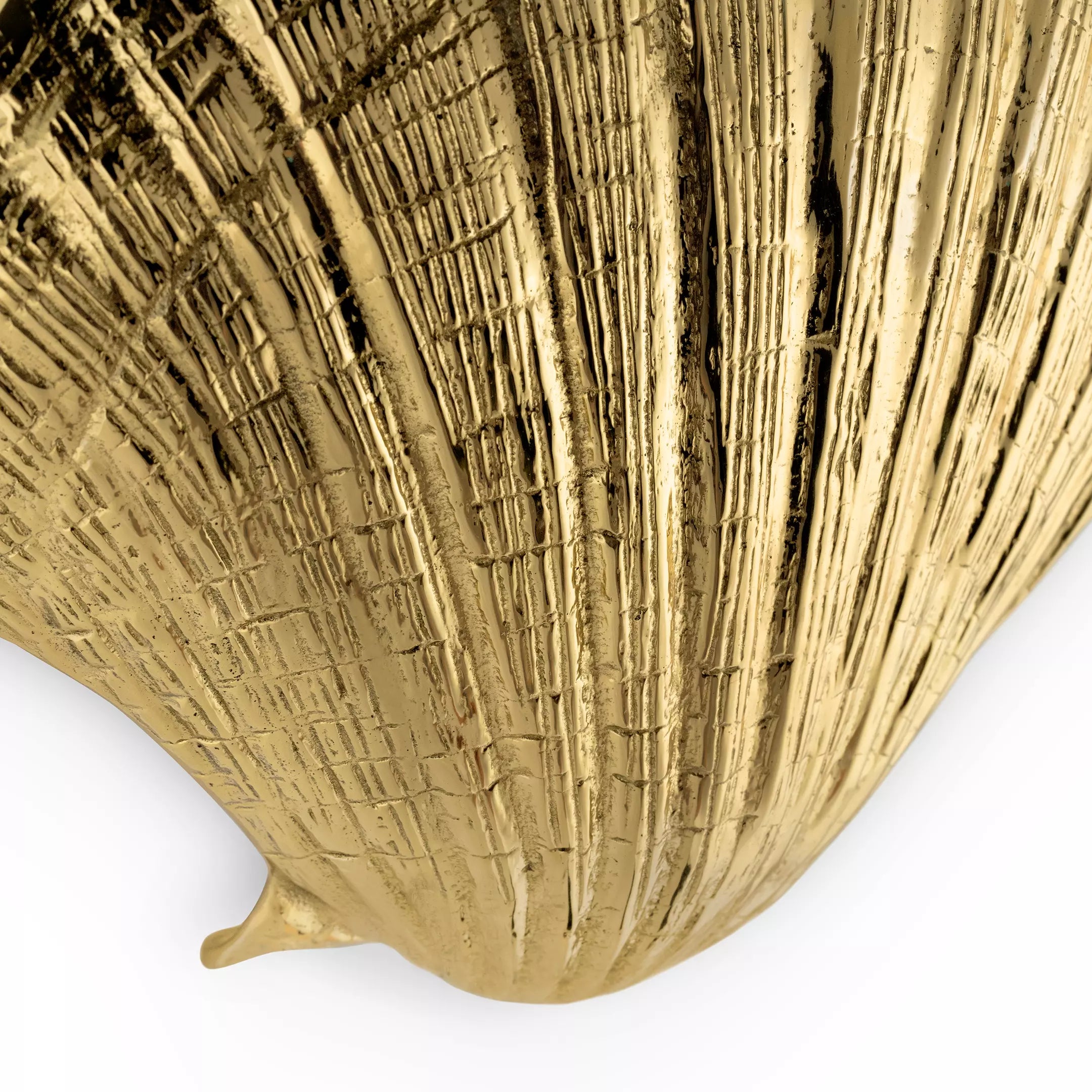 Seashell Door Pull OC2042