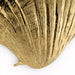 Seashell Door Pull OC2042