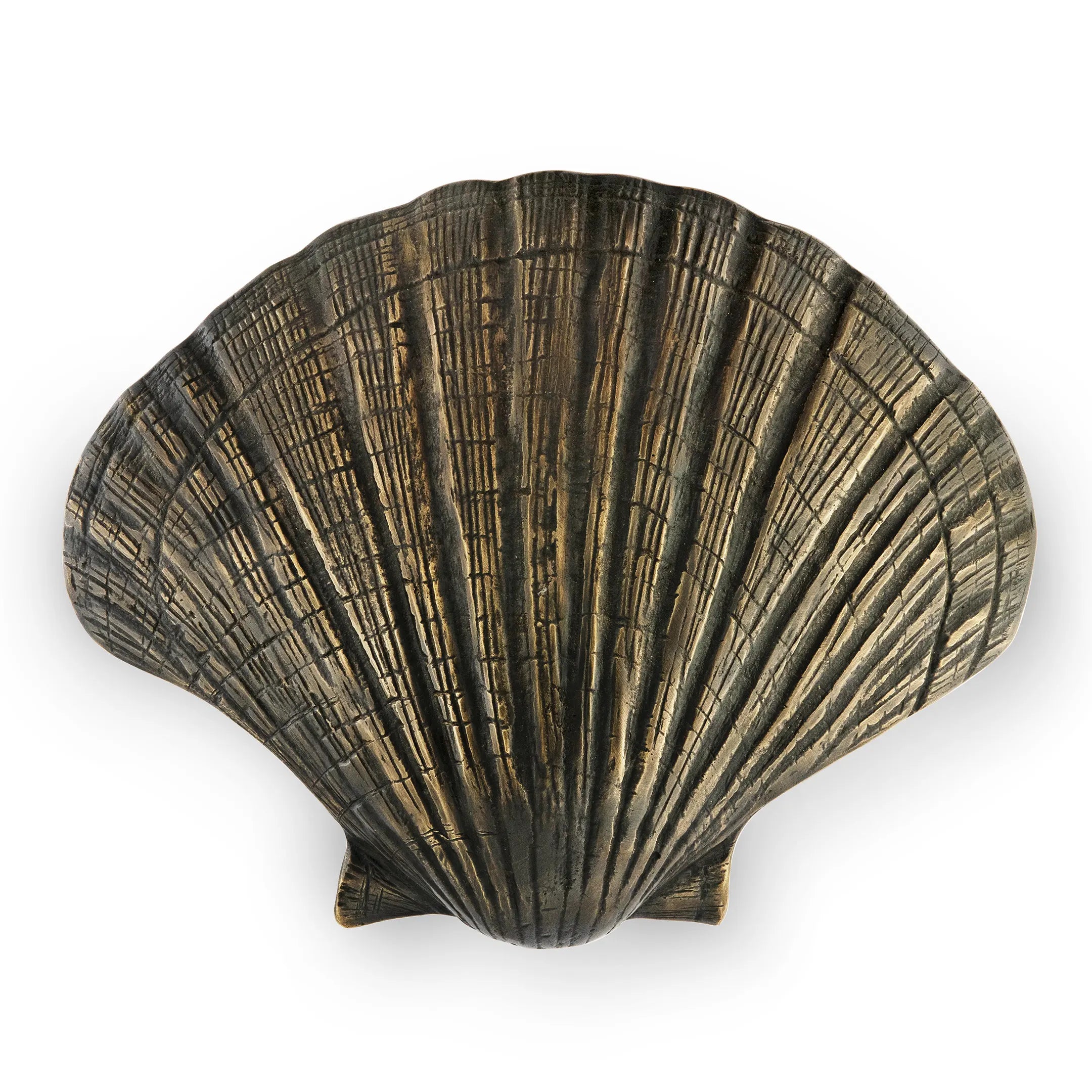 Seashell Door Pull OC2042