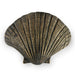 Seashell Door Pull OC2042