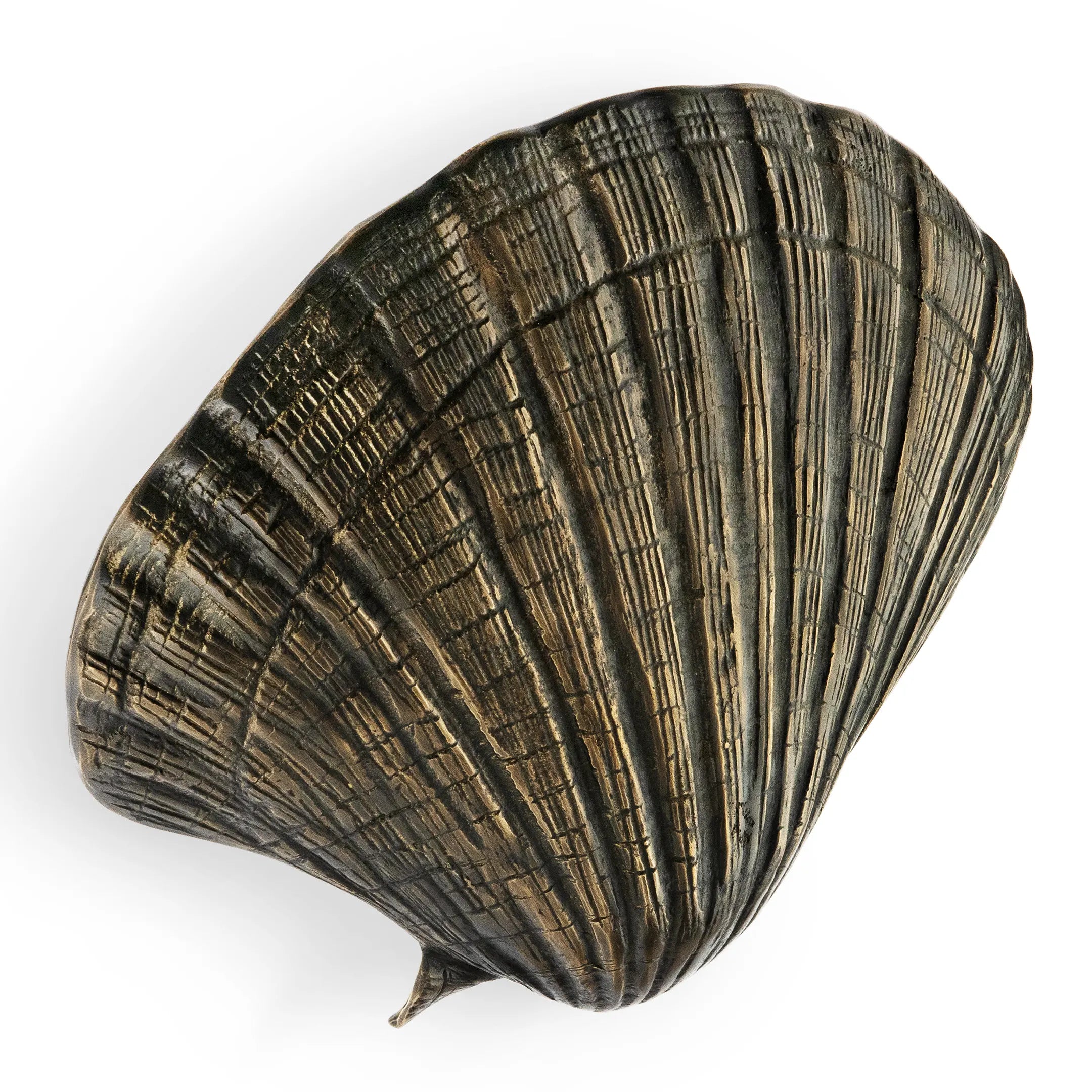 Seashell Door Pull OC2042