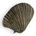 Seashell Door Pull OC2042