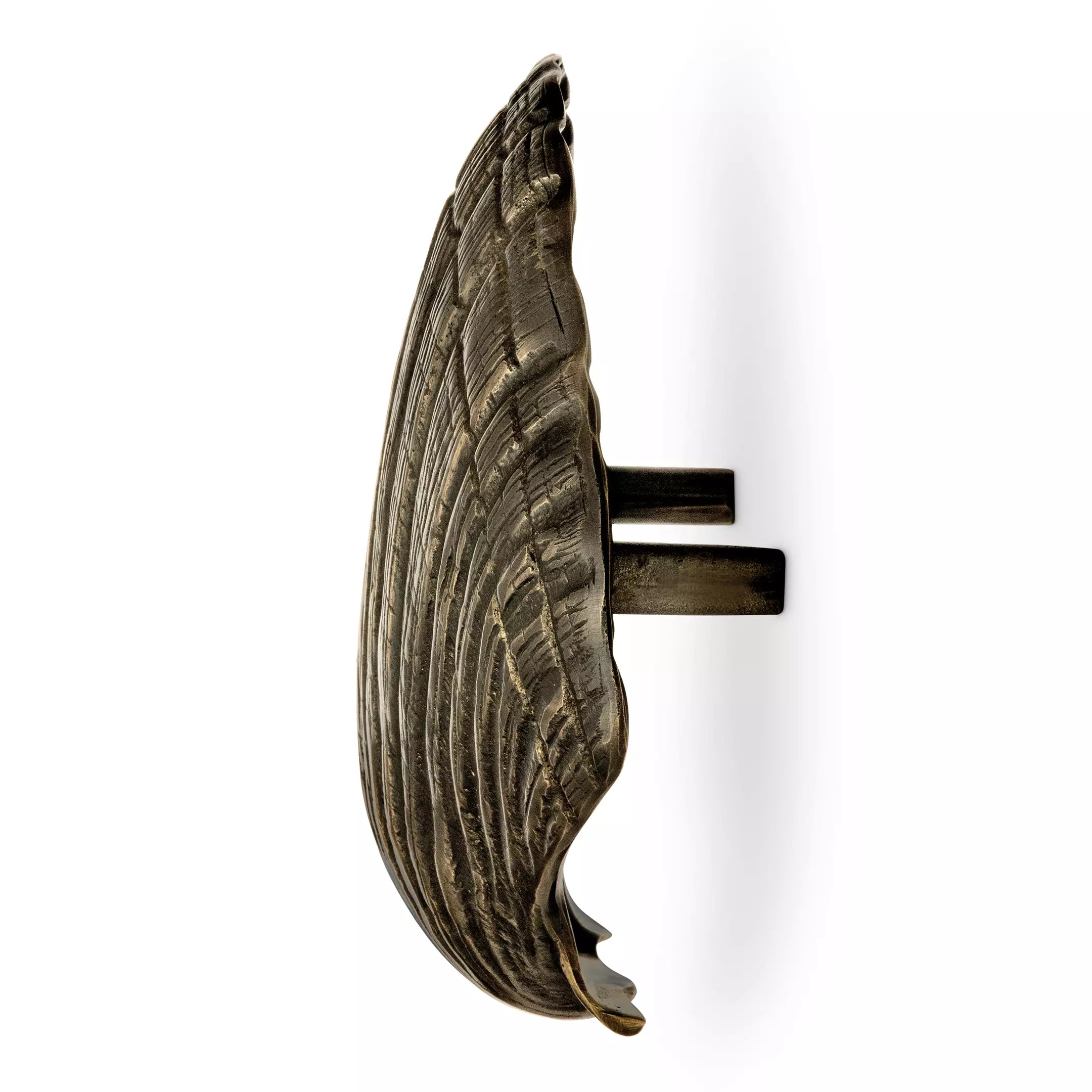 Seashell Door Pull OC2042