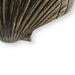 Seashell Door Pull OC2042