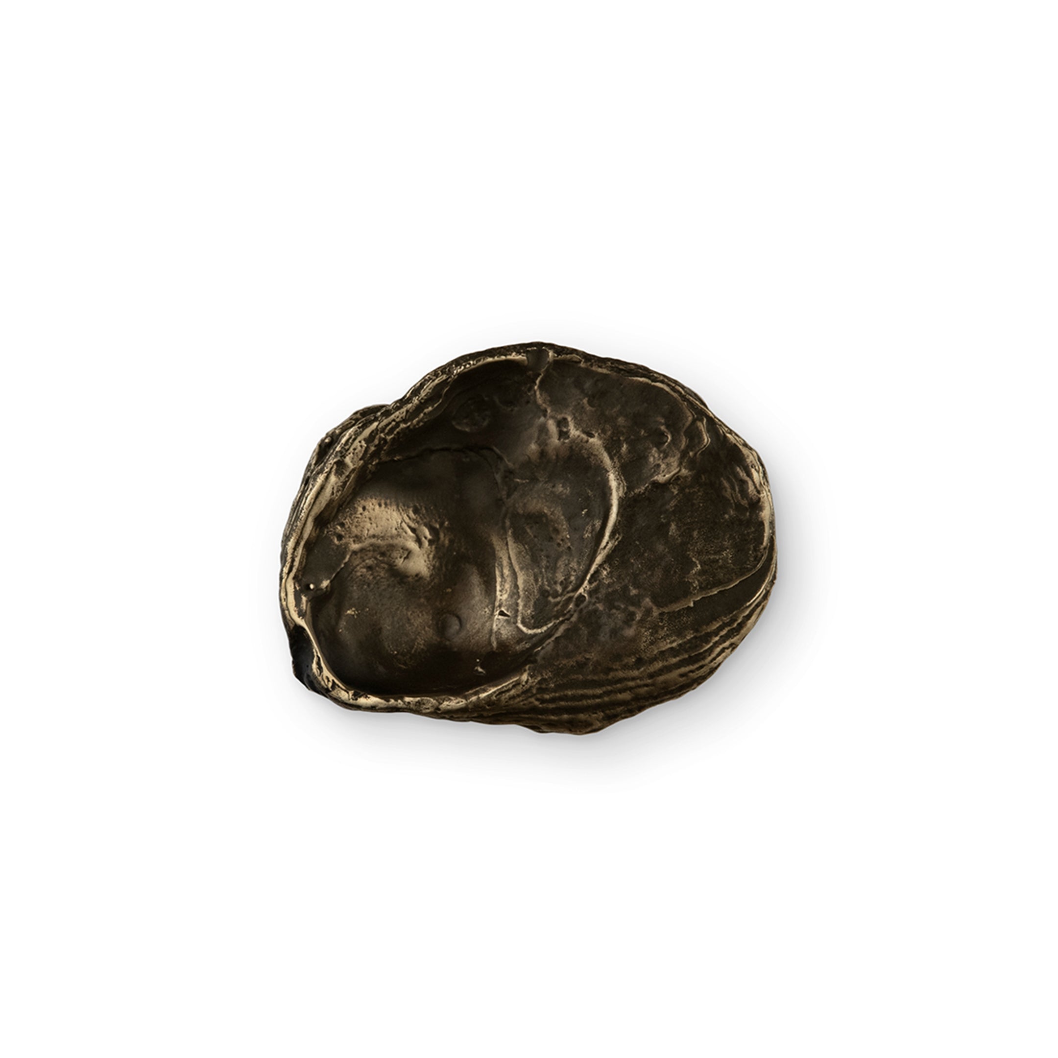 Shell Drawer Handle OC2044