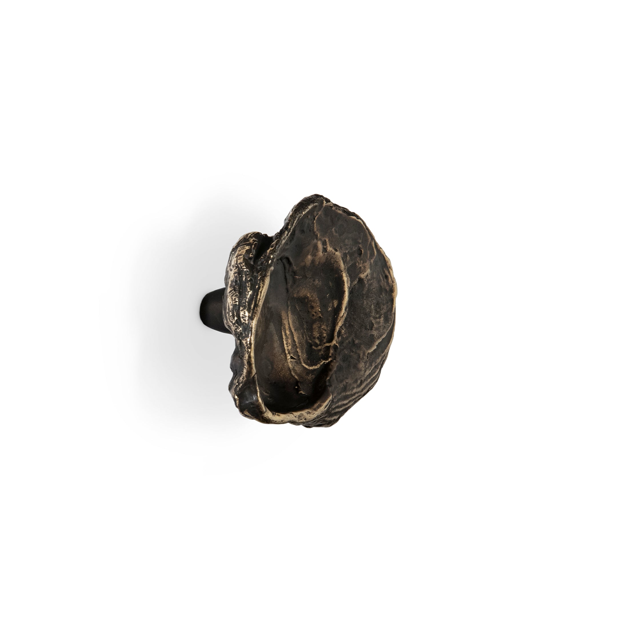 Shell Drawer Handle OC2044