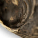 Shell Drawer Handle OC2044