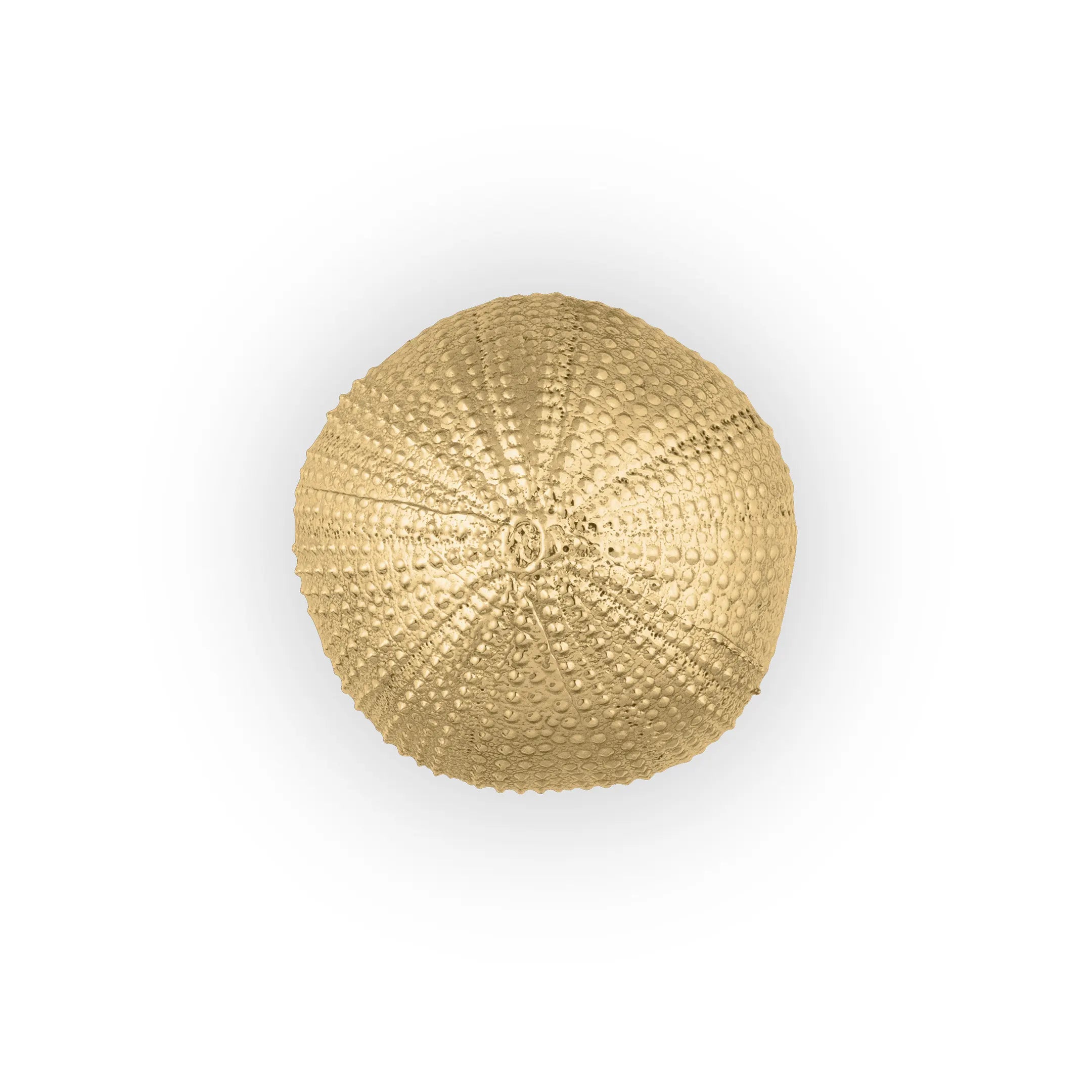 Urchin Door Knob OC2046