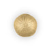 Urchin Door Knob OC2046