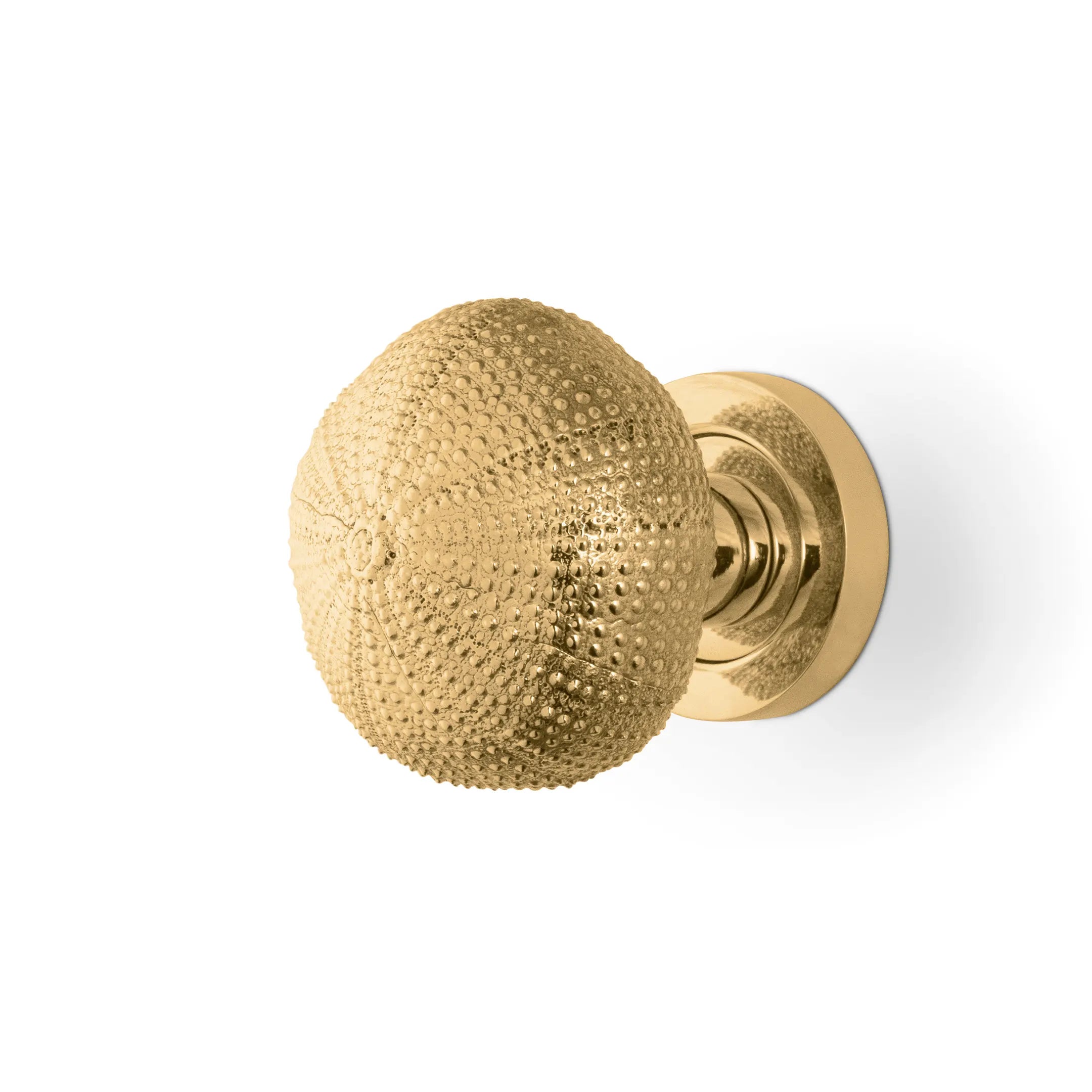 Urchin Door Knob OC2046