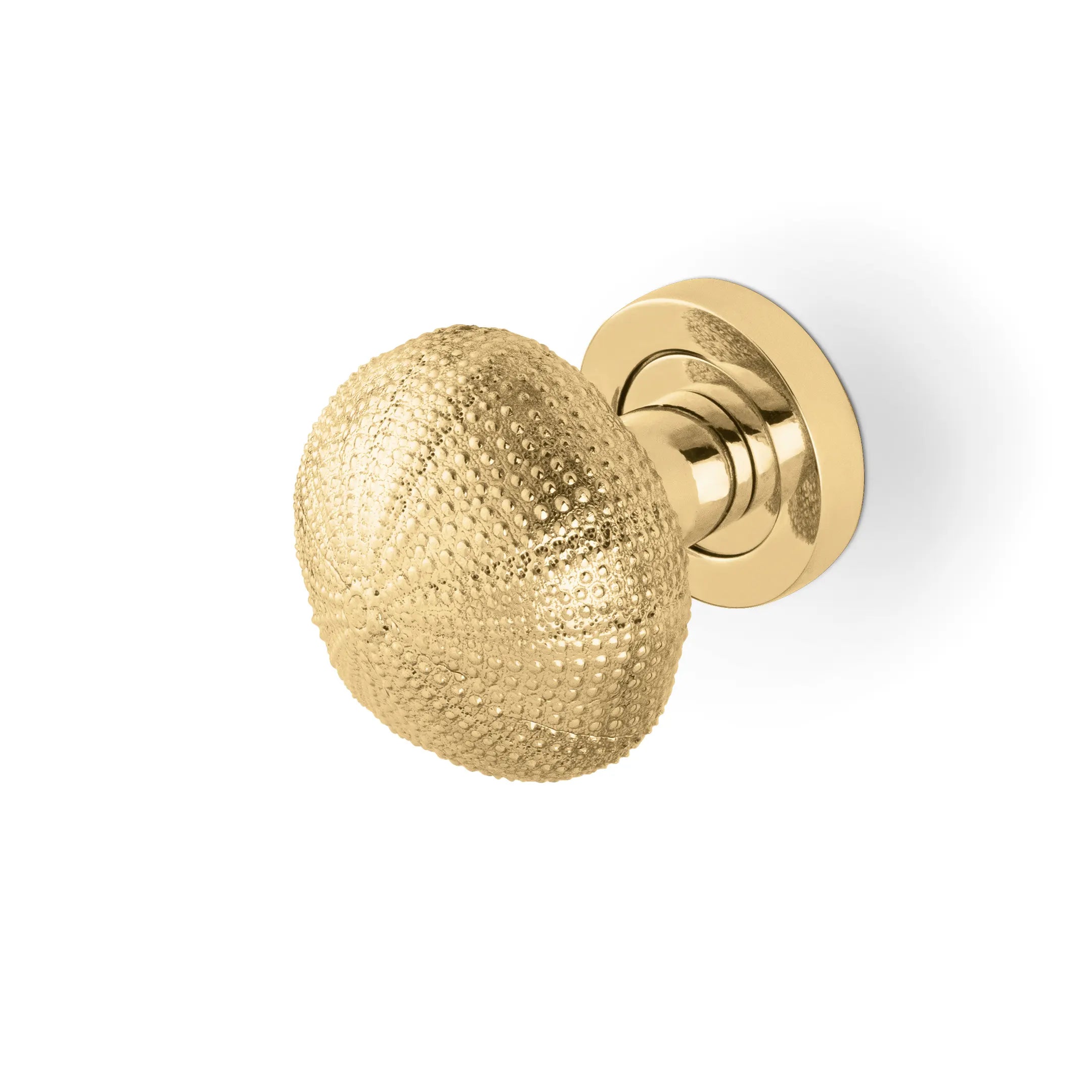 Urchin Door Knob OC2046
