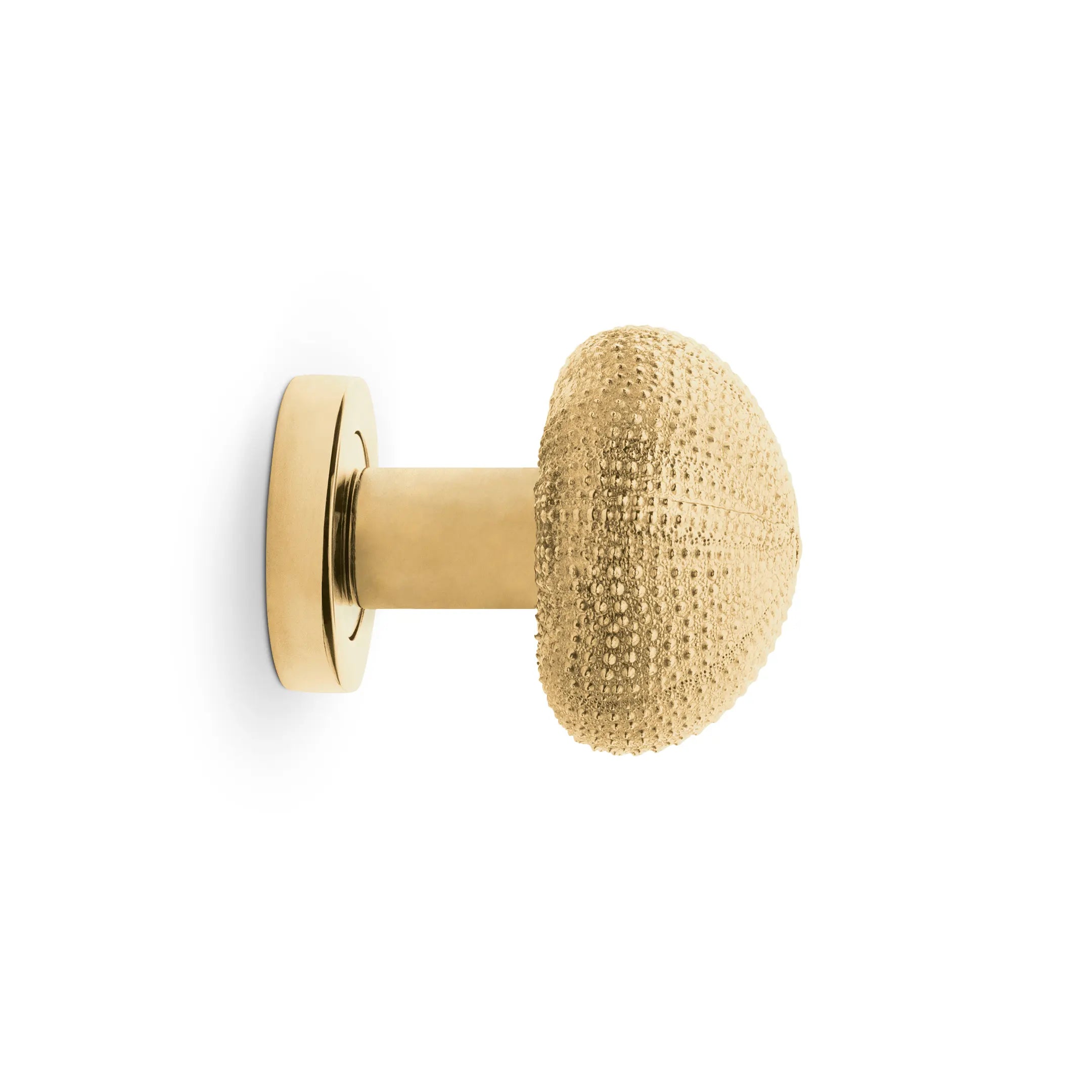 Urchin Door Knob OC2046