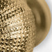 Urchin Door Knob OC2046