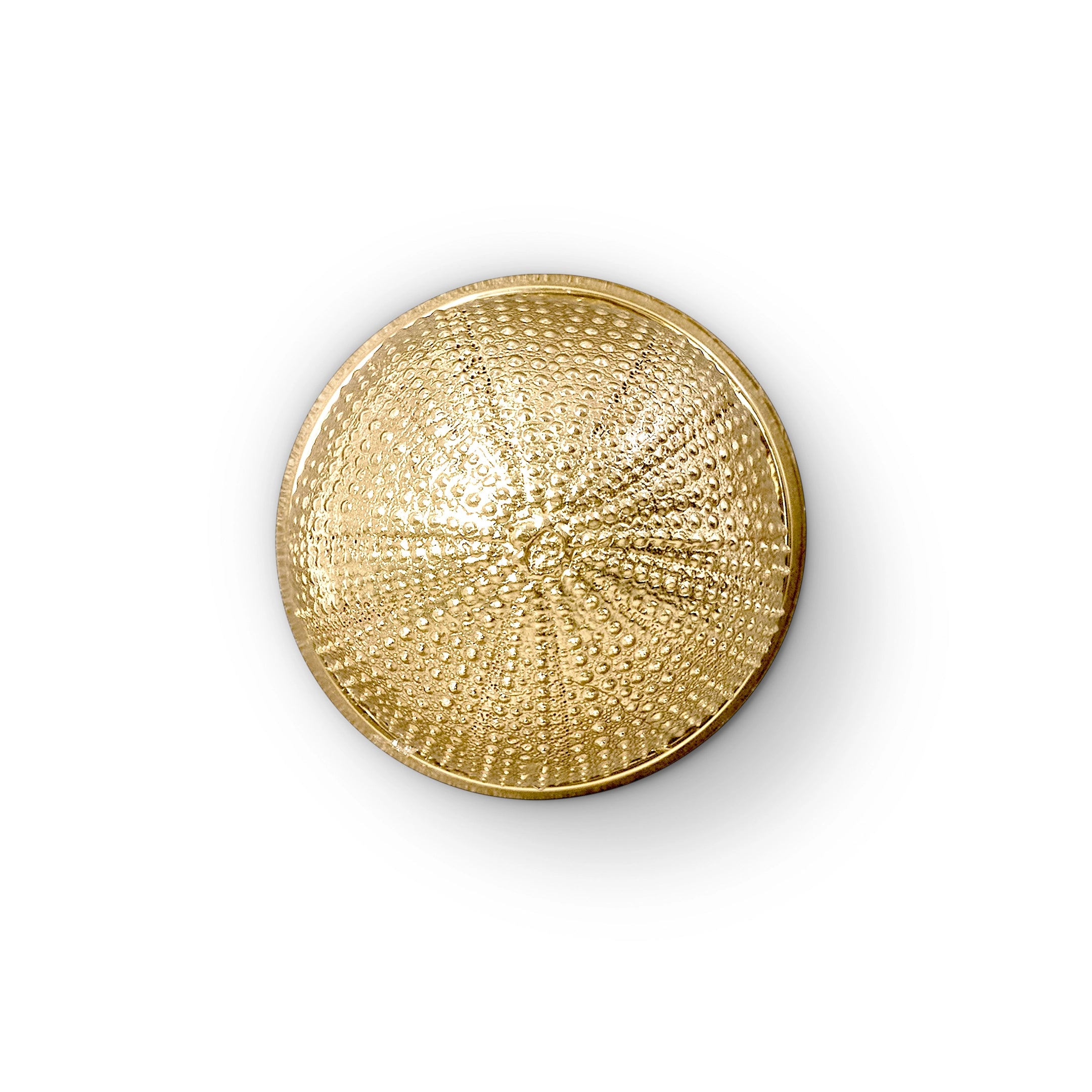 Urchin Door Pull OC2048