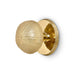Urchin Door Pull OC2048