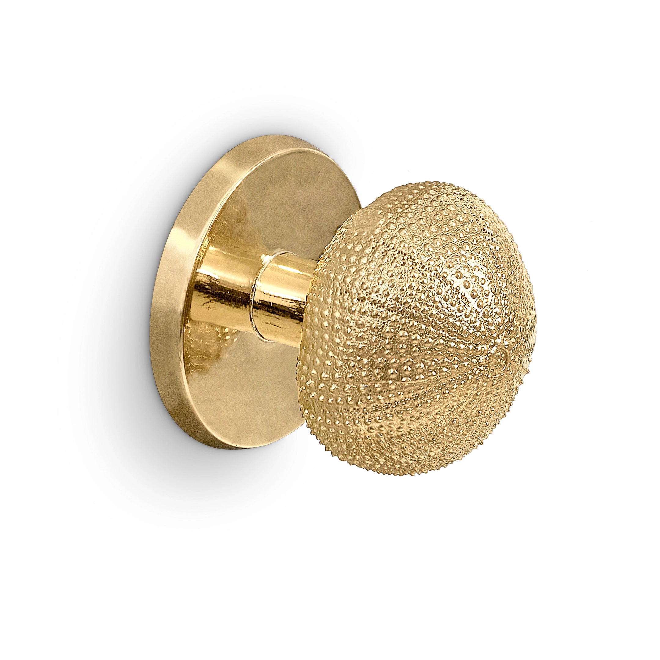 Urchin Door Pull OC2048