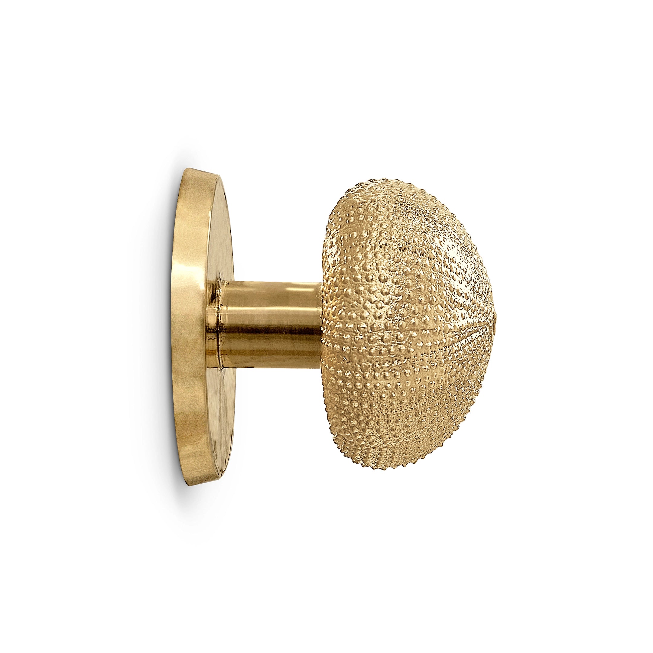 Urchin Door Pull OC2048