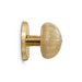 Urchin Door Pull OC2048