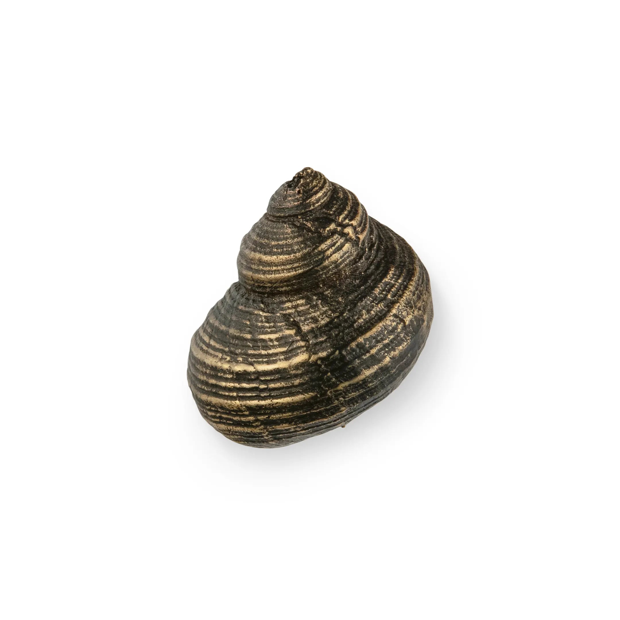 Oceana Drawer Handle OC2055