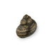 Oceana Drawer Handle OC2055