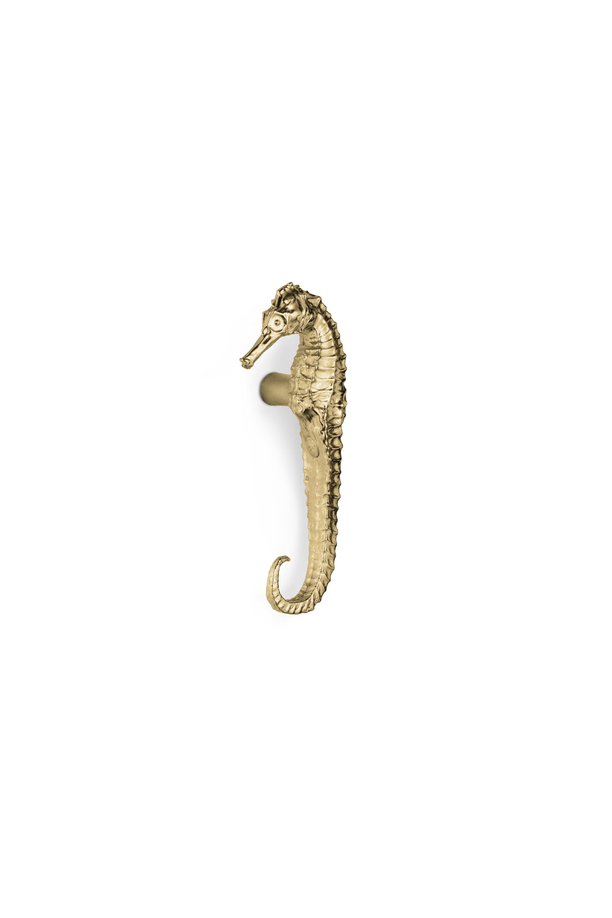 Aquaria Drawer Handle OC2059
