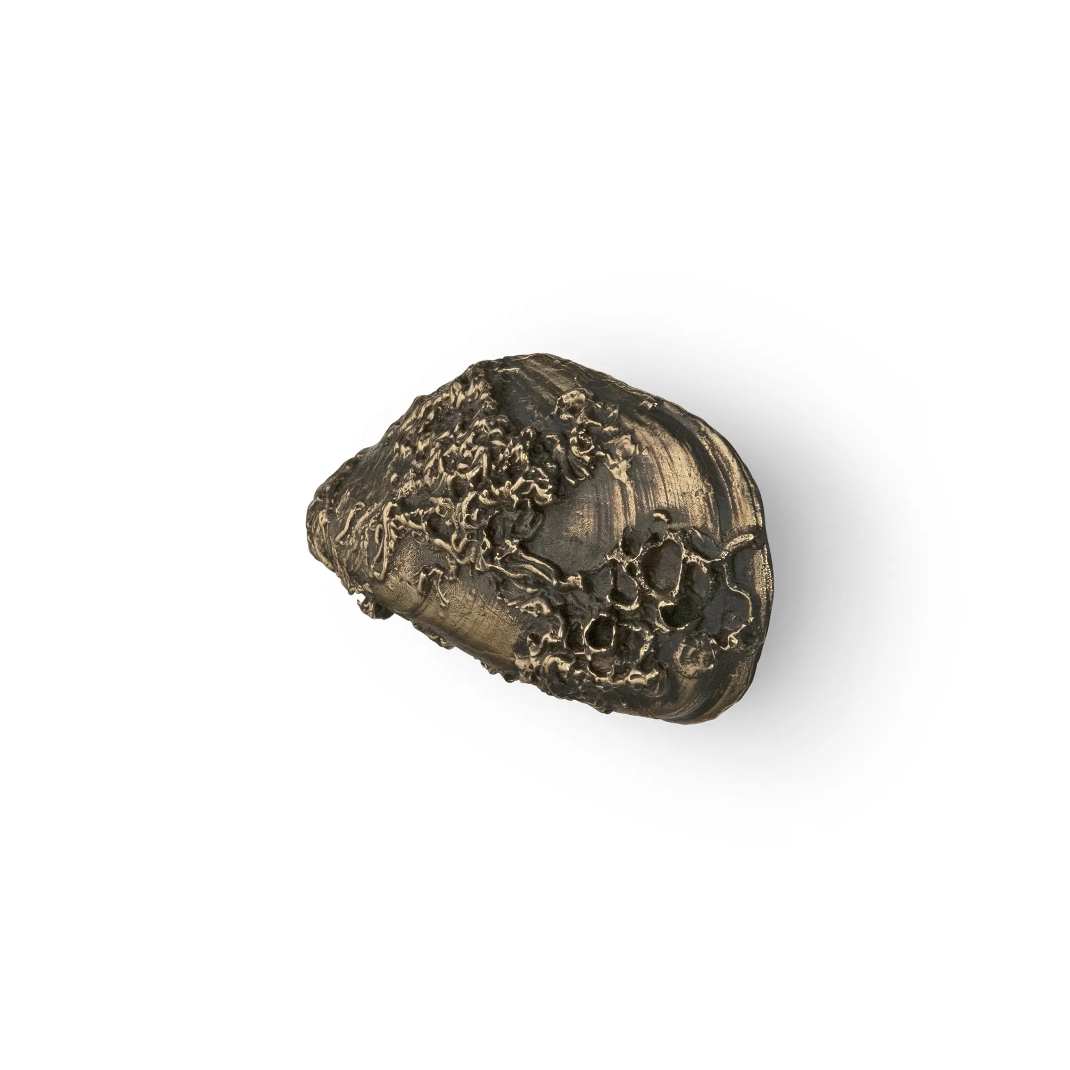 Coral Drawer Handle OC2060