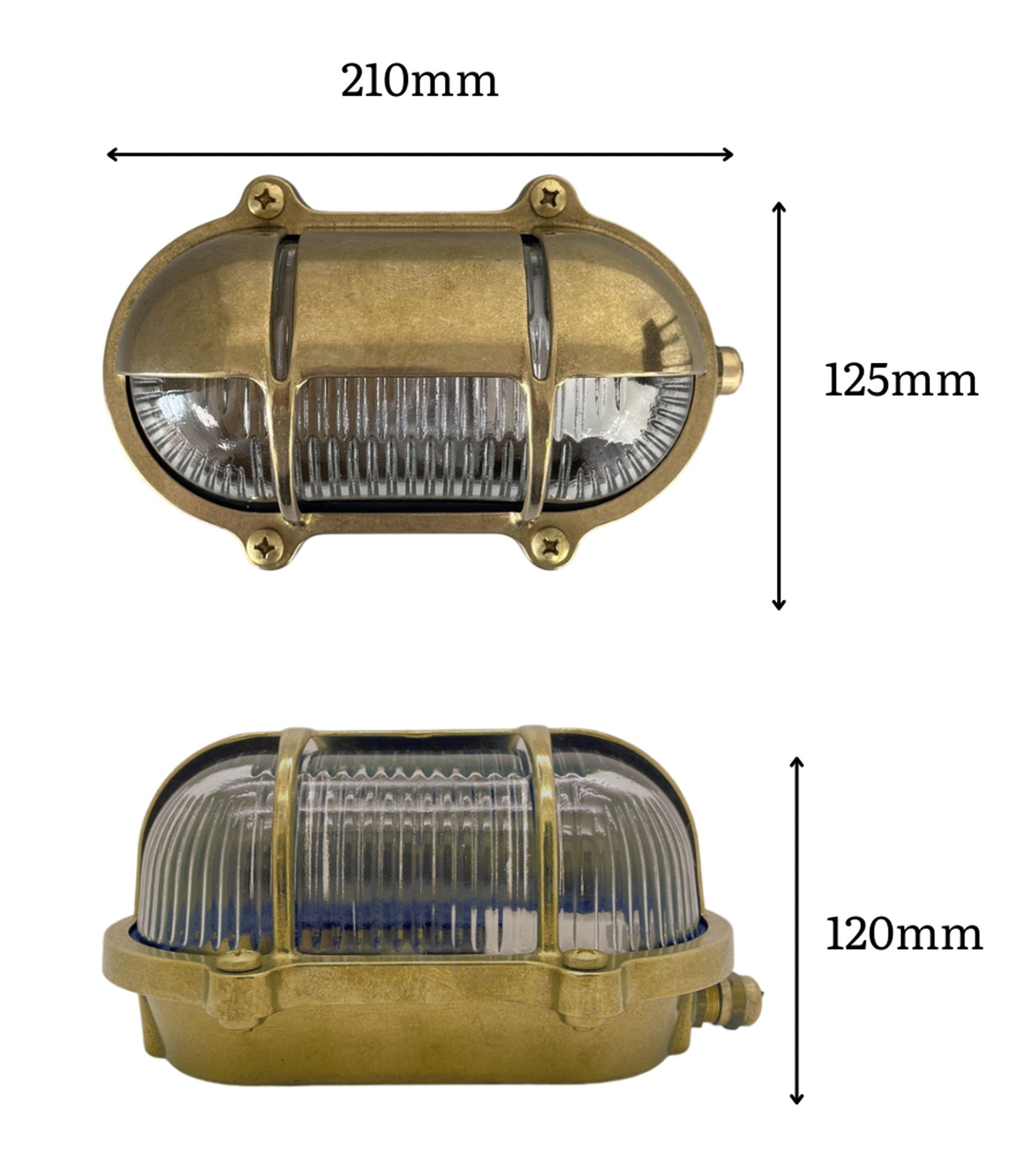 Camaron Bulkhead