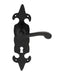 Black Wrought Iron Fleur Lever Lock on Plate