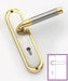 Space Cigar Lever On Plate (Satin Nickel/Gold)