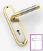 Space Cigar Lever On Plate (Satin Nickel/Gold)