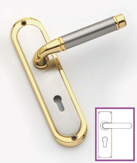 Space Cigar Lever On Plate (Satin Nickel/Gold)