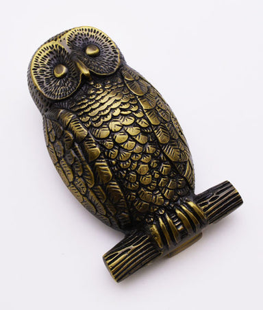 Solid Cast Brass Owl Knocker
