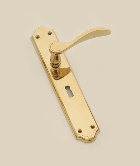 Shaped Lever On Long Plate (PVD)