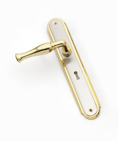 Space Lever On Oblong Plate (Satin Nickel/Gold)